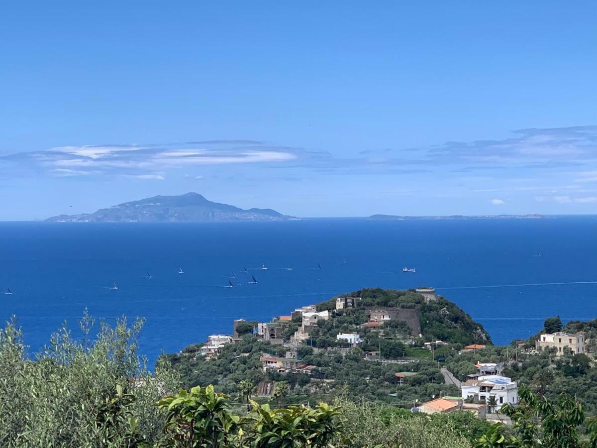 Terrazza Sul Golfo Lägenhet Massa Lubrense Exteriör bild